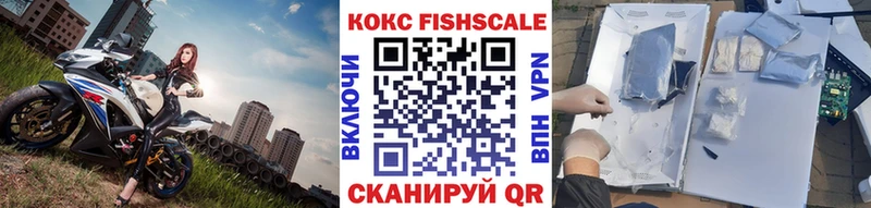 Cocaine FishScale  даркнет сайт  Заводоуковск 