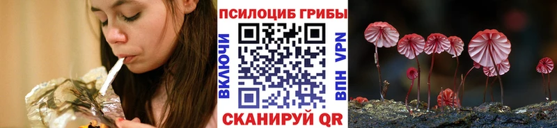 Галлюциногенные грибы мухоморы  гидра ТОР  Заводоуковск 